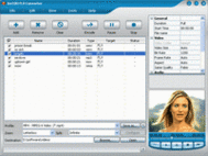 FLV Converter screenshot